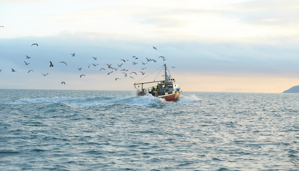 Sira Consulting onderzoekt de effectiviteit van het Europees Fonds voor Maritieme Zaken en Visserij